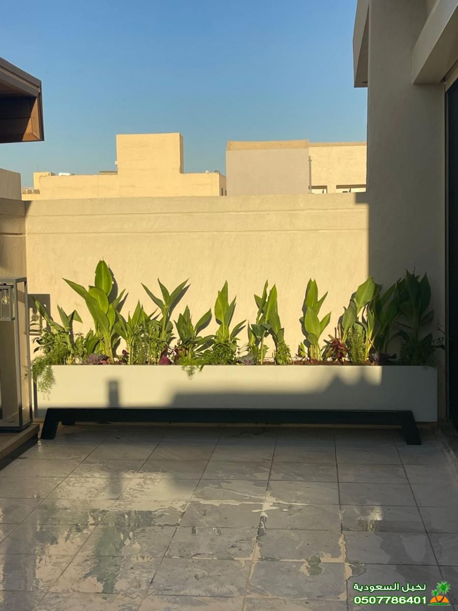 تشجير حدائق نباتات منزليه عامل اشجار زينه في الرياض