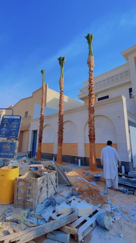 غرس و زرع النخل صيانة أشجار النخيل في الرياض