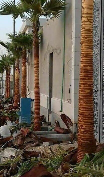وين ألقى أفضل شركة توريد النخيل في السعودية