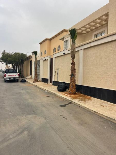 توريد زراعة نخل باسعار رخيصة بالرياض