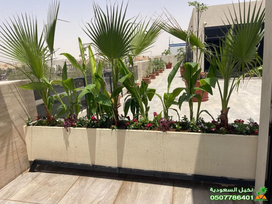 قص وتنسيق الأشجار والشجيرات في الرياض