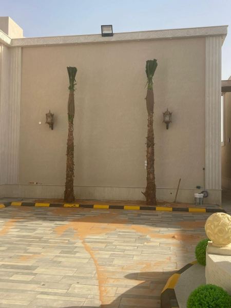 شركة غرس نخيل الاحواش والحدائق الرياض