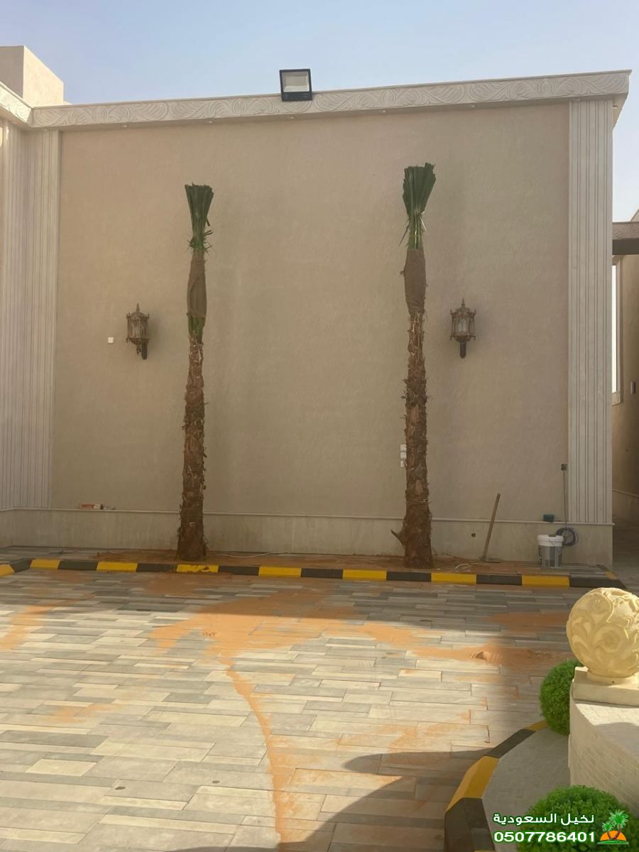 شركة غرس نخيل الاحواش والحدائق الرياض