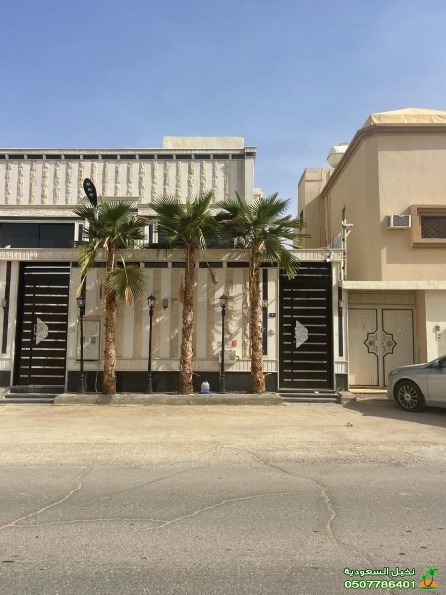 تنسيق حدائق بالرياض باستخدام النخيل الصناعي والطبيعي الرياض