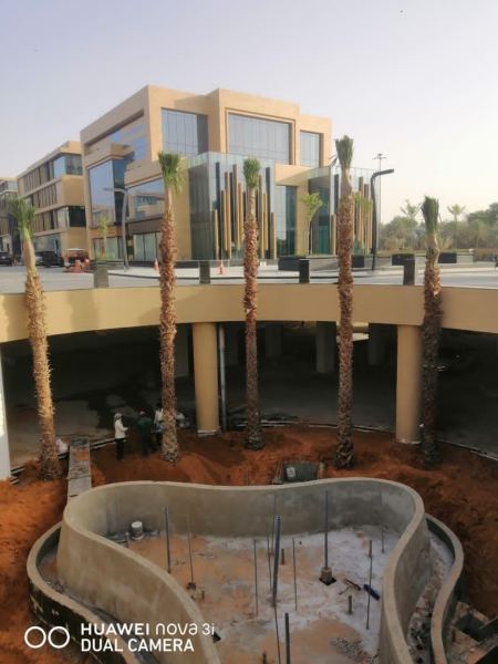 افضل مؤسسة زراعه وبيع النخيل بالرياض 0507786401