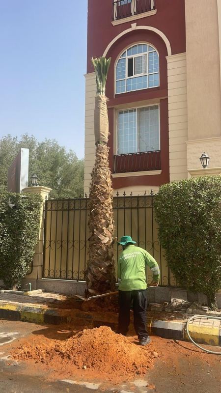فني مزارع بالرياض – خدمات الري والتقليم وزراعة الشتلات بجودة عالية