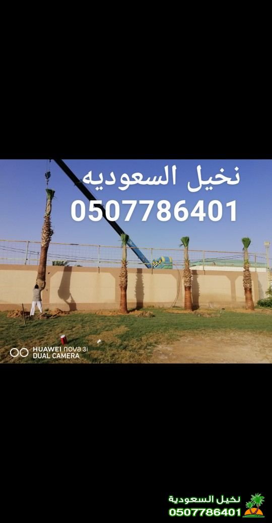 مؤسسة نخيل السعوديه 
