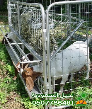 شبوك غنم ومزارع بالرياض تصنيع متين وأسعار منافسة مع ضمان طويل
