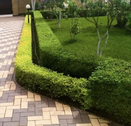 مهندس تصميم تنسيق بساتين في احواش حدائق الرياض
